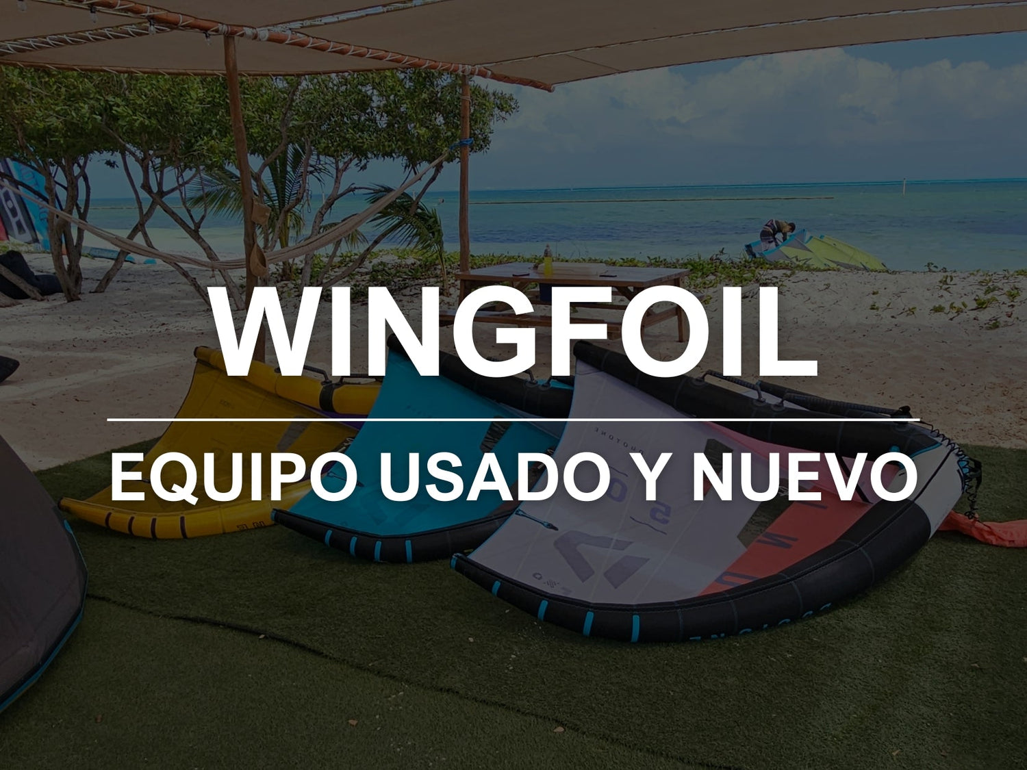 WINGFOILING