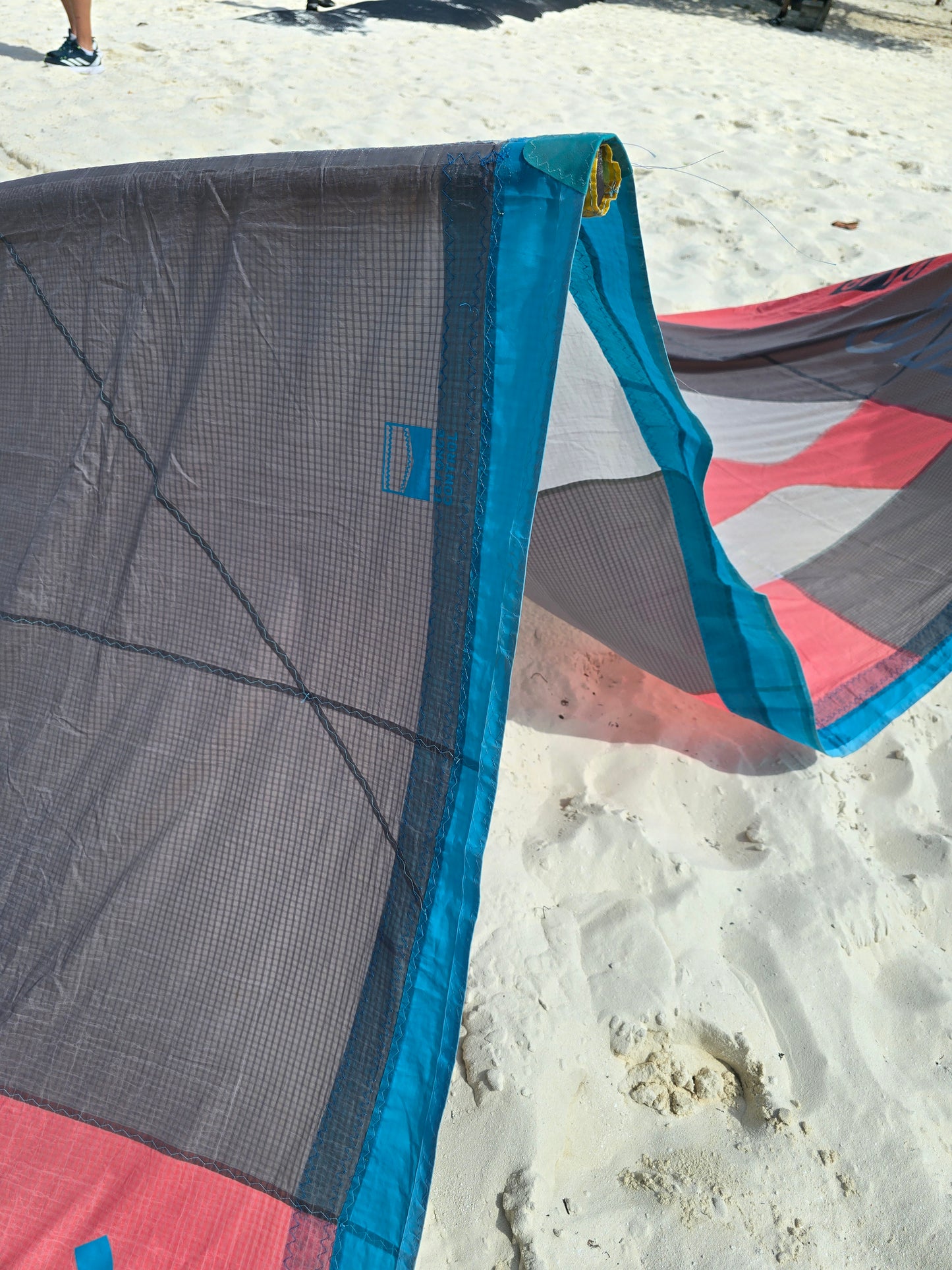 Kite 10m Evo D/Lab 2023 + Barra Click