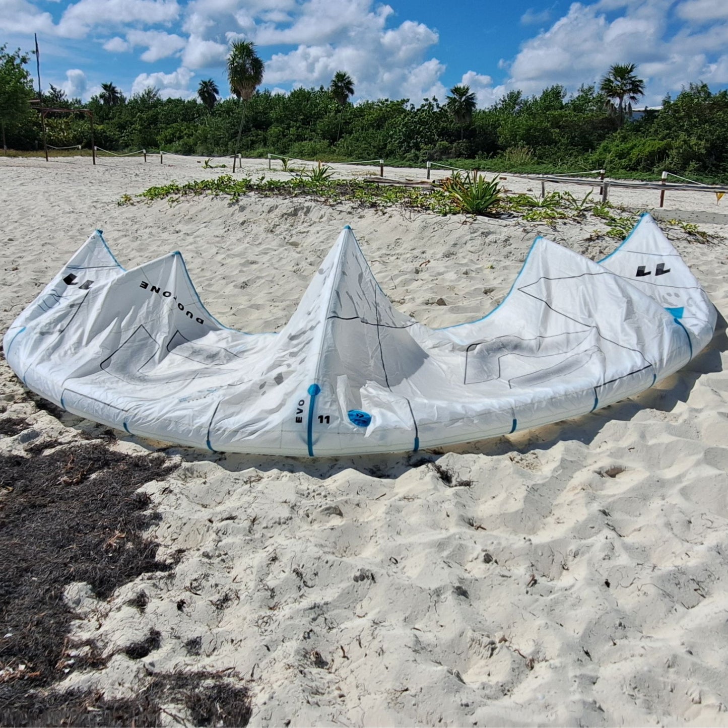 Kite 11m Evo Concept Blue 2024