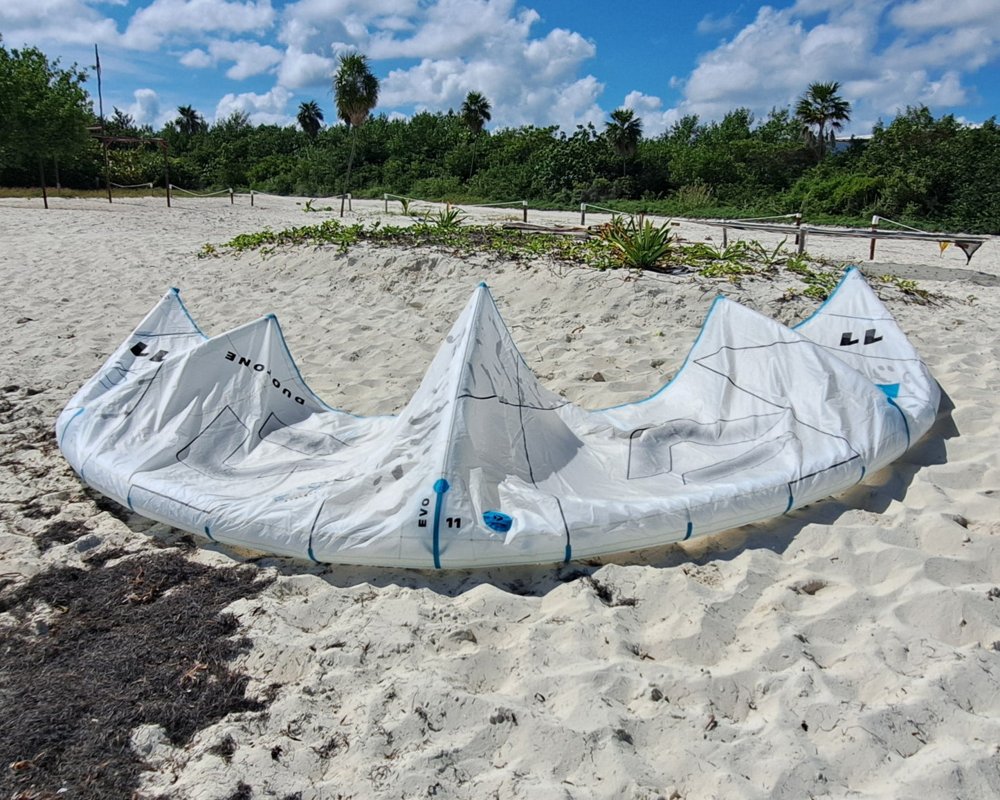 Kite 11m Evo Concept Blue 2024