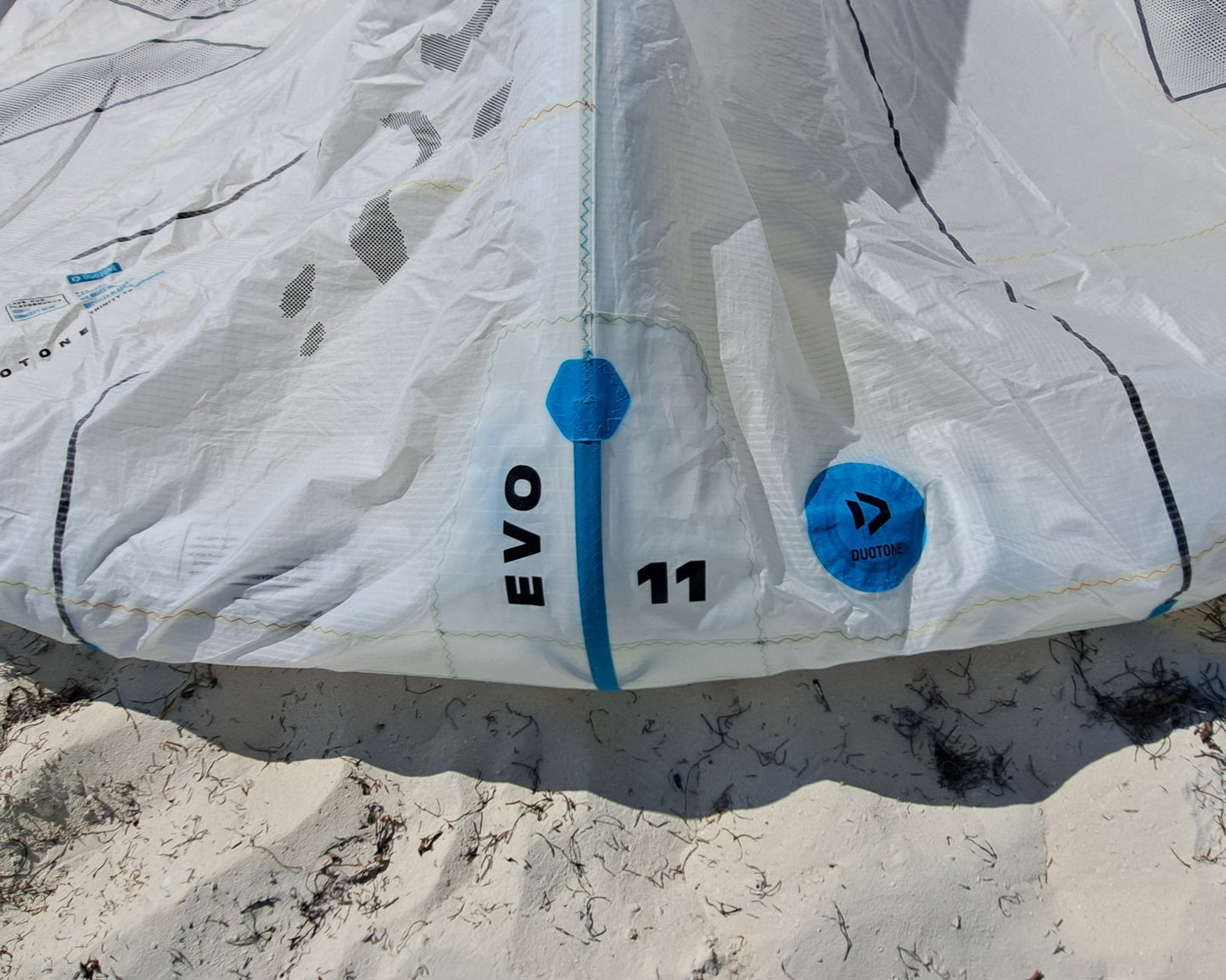 Kite 11m Evo Concept Blue 2024