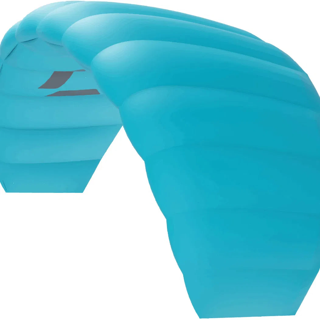 Lizard without leash 2026