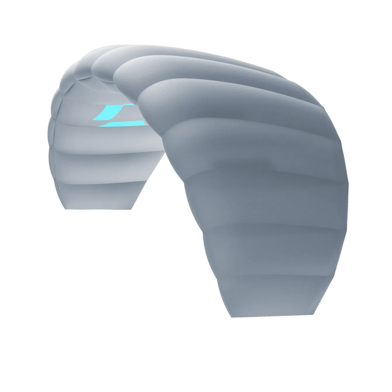 Lizard without leash 2026