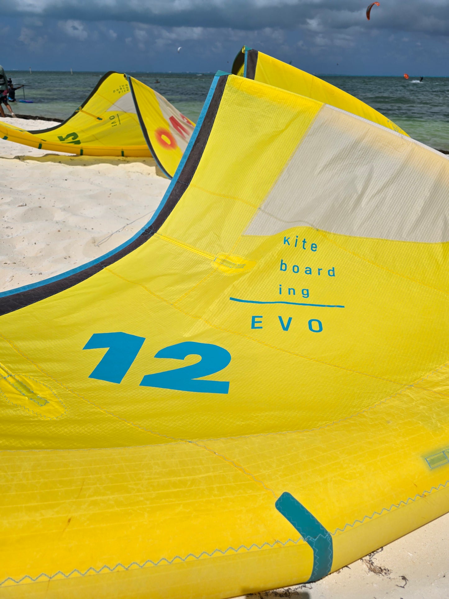 Kite+barra 12m Evo 2021